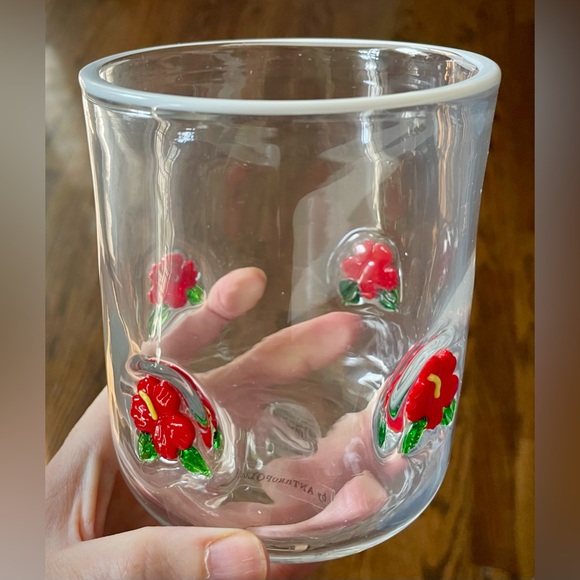 Anthropologie Other - Anthropologie Icon Juice Glass Hibiscus